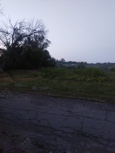 The image shows an overcast sky over a rural or semi-rural landscape. In the foreground, there is a cracked asphalt surface, possibly a road or a pathway. Beyond the asphalt, there is an area of tall grass and some vegetation. Further back, a dense line of trees and bushes creates a dark barrier. The trees in the upper left corner are bare and silhouetted against the sky, suggesting it might be autumn or winter. The overall scene appears to be devoid of any human activity or structures, suggesting a natural or undeveloped area. The lighting is dim, indicating it could be early morning or late evening. No specific landmarks or identifying features place the scene in Sosnivka, Ukraine.