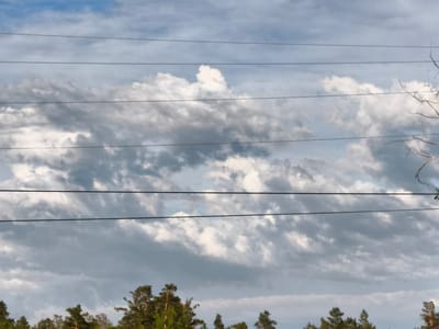 The image depicts a cloudy sky with several power lines running horizontally across the frame. The clouds are a mix of white and grey, suggesting varied weather conditions. Below the sky, the tops of pine trees are visible, indicating a natural or semi-rural setting, possibly on the outskirts of the city of Shaldai, Kazakhstan. The scene is calm and static, with no people or animals present. The focus is on the natural elements and the man-made power lines.