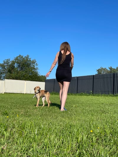 In Timmolovo, Russia, a woman in a black dress walks on a green lawn. She is walking away from the camera, her left arm extended. A light brown dog with dark patches stands to her left, looking at her. A white fence is behind them, with a darker fence to the right. Trees are visible beyond the fences, and the sky is a clear blue.