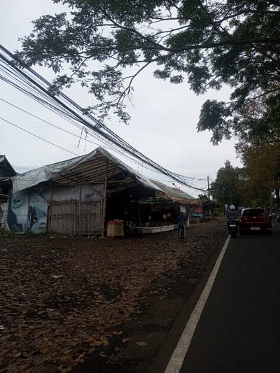 The image depicts an outdoor scene in Sat Thay (East), Myanmar, under an overcast sky. The foreground and left midground feature dark, unpaved ground heavily covered with fallen brown leaves. To the right, a paved asphalt road is visible, marked by a solid white line along its edge.
A makeshift, open-fronted stall occupies the left side of the scene. It has a light-colored tarp roof supported by a wooden or bamboo frame. The left side wall of the stall is covered with a white tarp, displaying a large, monochrome graphic of a stylized eye and a portion of a face. A bamboo gate or partition is situated next to this wall. Inside the stall, various items are displayed on counters, and a person in a dark shirt is partially visible.
A person dressed in a light-colored top and a patterned lower garment is pushing a bicycle on the leaf-covered ground, moving from left to right. On the paved road, a red four-door sedan is present, followed by a person on a motorcycle. The motorcyclist wears a helmet and a dark jacket with white markings. Numerous utility lines are strung horizontally across the upper frame, passing over the stall. Large trees with dense green and brown foliage are prominent overhead and along the right side of the road. Additional vehicles are faintly visible in the distance along the road.