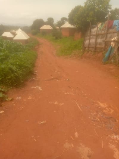 This media file depicts a dusty, red dirt road winding through a rural village in Mayo Ndaga, Nigeria. The scene is likely set during the day, with an overcast sky suggesting possible rain or the end of the rainy season.
On the left side of the road, a patch of lush green vegetation, possibly crops like maize, grows tall and thick. Further back, several traditional mud-brick houses with conical, light-colored roofs are visible, suggesting a village setting. A large tree with dense foliage stands behind one of these houses.
On the right side of the road, a rustic fence made of woven materials and wooden posts is partially visible. Clothes, including red and blue garments, are hanging on the fence, suggesting daily life activities. A blue tarp is also draped over a section of the fence.
The dirt road itself is a prominent feature, showing signs of recent moisture in some areas, with a muddy patch visible towards the bottom right of the frame. Scattered debris, such as leaves and small pieces of trash, are also present on the road.
The overall impression is one of a humble, perhaps somewhat impoverished, rural community. The overcast sky and the somewhat muted colors give the scene a subdued, possibly somber, atmosphere, though the vibrant green vegetation offers a contrast. There is no visible text in the image. The image captures a moment of everyday life in a Nigerian village.
