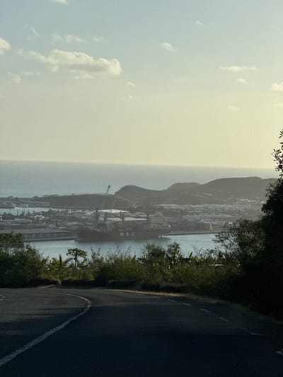 The image presents an elevated view overlooking the Port of Nouméa, France. In the immediate foreground, a dark asphalt road curves to the left, marked by a solid white line along its left edge. Dense, dark green foliage flanks the road on both sides. The midground features a calm body of water, likely a bay or harbor, where a large container ship is docked. The vessel displays "MSC" on its hull and is laden with numerous shipping containers, with visible cranes on its deck. Behind the ship, an expansive port infrastructure is evident, comprising industrial buildings, additional cranes, and other docked vessels. The background consists of gently rolling, vegetated hills, beyond which the hazy expanse of the open ocean meets a pale, partly cloudy sky. The scene is illuminated by bright, diffused sunlight, indicating either late morning or afternoon conditions. No individuals are visible.