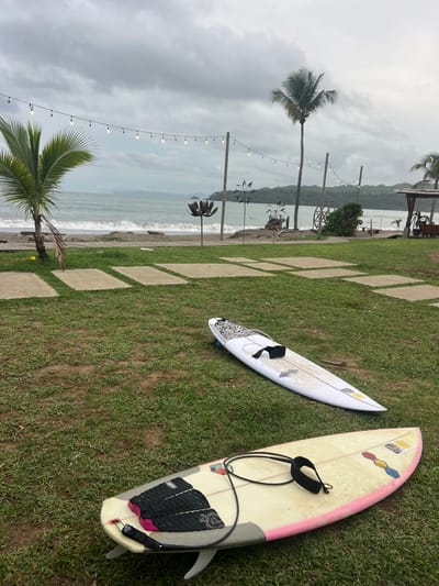 The image shows two surfboards lying on a grassy lawn in front of a beach.  The surfboards are both white with black and yellow markings, with a black leash attached to each board. The board in the foreground has a pink stripe down the side. There is a row of grey concrete pavers running across the green grass lawn.  The shoreline of a beach can be seen in the background, with a calm, grey ocean and cloudy sky. There is a palm tree in the foreground, and another one to the right in the background.  There are several metal yard decorations visible in the background.  The image appears to have been taken at a beachside establishment in the area of Las Escobas del Venado, Panama, located at coordinates 7.43, -80.188.