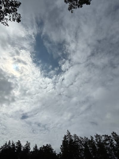 The image shows a view looking up at a cloudy sky with silhouetted trees in the foreground, suggestive of a forest edge. The sky has a central patch of blue, surrounded by white and gray clouds that appear to be moving or forming wispy patterns. Sunlight is visible on the left side of the sky, creating a bright spot. The trees in the foreground are dark and appear to be coniferous, with their branches reaching upwards. The scene depicts a natural environment, likely an outdoor area. Based on the provided context, the location is Chemal, Russia.