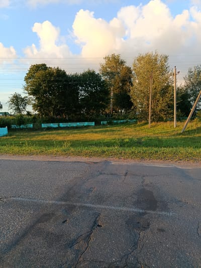 The image depicts a roadside scene in the Smalyavichy Selsoviet, Belarus. In the foreground, a cracked asphalt road runs horizontally across the frame, with shadows cast by an unseen object on the left. Beyond the road, a strip of green grass is illuminated by warm, late afternoon sunlight, transitioning into a slightly darker grassy area with some weeds. A low, light blue decorative fence runs along the edge of the grassy area. Behind the fence, a line of mature trees, predominantly deciduous with some evergreens, forms a dense backdrop. In the sky, fluffy white and yellow-tinged clouds are visible against a clear blue sky, with power lines strung between poles crossing the upper portion of the frame. Two utility poles are visible within the treeline, one on the right of the frame leaning slightly. The overall impression is one of a rural or semi-rural setting bathed in the golden light of late day.