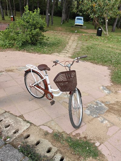 A white and brown bicycle, equipped with a brown woven plastic front basket, brown saddle, and white fenders, stands stationary on its kickstand on a paved surface. The pavement consists of light reddish-brown square pavers, with areas of dirt and sparse grass. To the bottom left, a concrete drainage channel with multiple circular openings is partially visible, interspersed with grass and debris. The scene is located in a park-like area within Kim Long Ward, Vietnam.
Behind the bicycle, a narrow, winding pathway made of light-colored, irregular pavers leads uphill into a wooded landscape. To the left of this path, a dense green bush is situated near a wooden park bench with dark supports. Further along the path to the right, a black cylindrical trash bin is present. The ground in the midground is covered with green grass and scattered fallen leaves.
In the background, a dense stand of tall, slender trees, consistent with pines, forms a natural backdrop. Uphill along the path, a light blue, boxy vehicle or sculpture, possibly resembling a microvan or bus with darkened window openings, is positioned on a raised base. The setting is outdoors during daylight hours. No individuals are present.