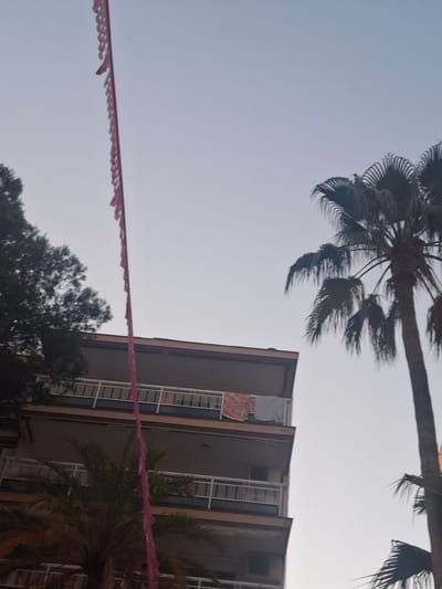 An image taken in Salou, Spain, shows a portion of a building with multiple balconies. There are palm trees visible, one tall and in the foreground on the right, and another shorter one partially obscuring the lower balconies on the left. A string of pink decorative flags hangs vertically from the top of the frame downwards, passing in front of the building. On one of the upper balconies, two pieces of cloth are hung out to dry, one patterned red and white and the other light blue. The sky is a pale, overcast grey.
