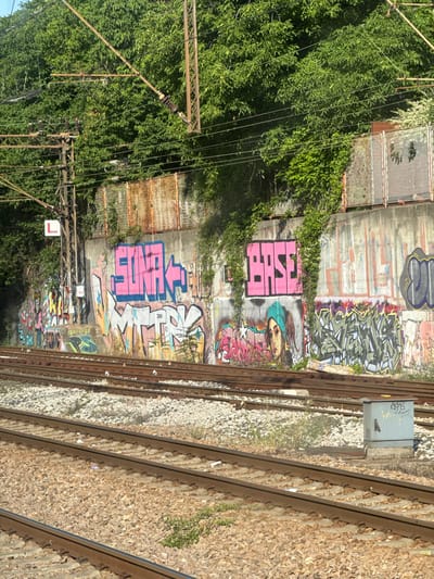 The image depicts a concrete retaining wall alongside a set of train tracks. The wall is heavily adorned with graffiti in various styles and colors. Prominently visible is the word "SONAK" in large pink letters with a pink arrow, and "BASE" in large pink block letters. Other graffiti includes abstract designs, stylized lettering, and a portrait of a person with a teal head covering. The train tracks in the foreground are bordered by ballast. Vegetation, including dense green foliage, grows along the top of the wall and on the embankment behind it. Electrical wires and poles associated with the railway are also present. The scene appears to be an outdoor, urban environment, likely near a railway line in Rakovica Urban Municipality, Serbia, given the context.