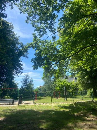 The media file shows an outdoor scene, likely a park or a playground, with lush green trees and a bright blue sky with wispy white clouds. The perspective is from below, looking up through the tree canopy, suggesting a sunny day.

In the background, a metal fence encloses an area with some playground equipment. Visible elements include a red circular frame, possibly part of a swing or climbing structure, and a trash can. There are also glimpses of buildings through the trees, one appearing to have a modern, possibly wooden, facade with vertical paneling. The ground is covered in grass, with some areas of dirt and shadows cast by the trees, indicating it is daytime.

The scene evokes a feeling of a peaceful summer day. There are no people visible in the frame. The overall impression is one of a well-maintained outdoor recreational space on a clear day, likely in a suburban or park-like setting. The location context places this scene in Bolesławiec, Poland.