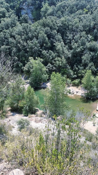 This high-angle aerial shot captures a serene natural scene in Tortellà, Spain, likely during daylight hours under clear skies. The foreground is dominated by a dense thicket of dry, scrubby vegetation with sparse green foliage, suggesting a Mediterranean climate. Beyond this, the terrain slopes down towards a tranquil, emerald-green river. The riverbanks are lined with sandy shores and rocky outcrops, interspersed with patches of vegetation.
The river itself is clear, allowing visibility of the sandy bottom in shallower areas. Several trees with vibrant green leaves grow along the banks, some extending into the water. In the mid-ground, near the left bank of the river, a single person is visible, wearing blue clothing and appearing to be resting or relaxing on the sandy bank. Further along the river, particularly on the right side, the landscape transitions into a dense, verdant forest that covers the hillsides. The forest canopy is thick and appears to be composed of mixed deciduous and evergreen trees, characteristic of the region's natural environment. The overall impression is one of a secluded and peaceful natural refuge within the municipality of Tortellà.