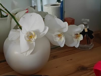 A close-up, eye-level shot captures a white vase holding white orchids, positioned on a wooden surface. To the right of the orchids, a perfume bottle with a black bow is visible, with a toilet paper roll reflected in a mirror behind it. The scene is likely set indoors, on a shelf or dresser. There are no people or animals present.
