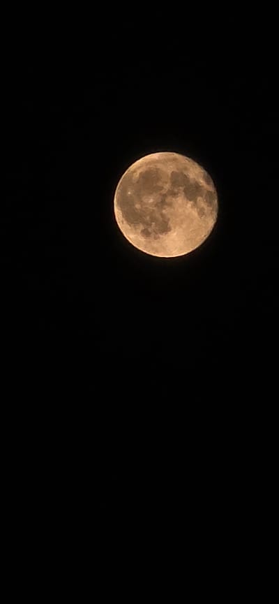 A full moon is visible against a black sky. The moon is a warm, golden-orange color and its surface details, including craters and maria, are clearly discernible. The moon is positioned in the upper half of the frame, slightly to the right of center. The rest of the image is solid black, indicating a night scene with no other celestial bodies or light sources visible. There are no people, animals, or man-made objects depicted in the image. The scene is entirely natural and focused on the moon.
