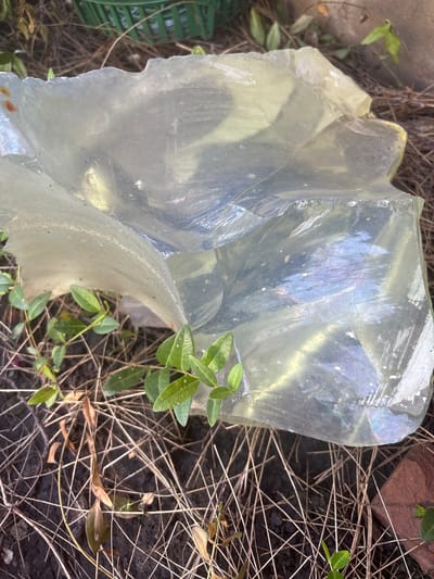 The image depicts a large, irregularly shaped piece of clear, translucent material, possibly glass or a similar resin, resting on the ground. The material exhibits a slightly yellowish hue and contains internal reflections and iridescence, showing hints of blue and purple. Several small green plants with smooth leaves are growing around and partially beneath the object. The ground is covered with dry, straw-like organic matter, interspersed with dark soil. In the upper background, a blurred green object, possibly a basket, is visible. The scene appears to be outdoors, in a natural or semi-natural setting. There is no indication of the city of Zmiiv, Ukraine, or any specific location beyond the immediate visual evidence.