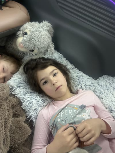 In Dybshche, Ukraine, two young children are lying down on a plush, fluffy gray surface, likely a blanket or large pillow, situated in what appears to be the back of a vehicle. To the left, a younger child with light brown hair is asleep, their face turned away from the camera. They are partially obscured by a large, brown, shaggy stuffed animal that lies to their left. To the right, an older child with dark brown hair is awake and looking directly at the camera with a neutral expression. This child is wearing a light pink long-sleeved shirt with a graphic design featuring an owl and text. A gray plush toy is positioned behind and above the sleeping child. The background is dark and appears to be the interior of a vehicle, with some textured dark material visible. The overall scene suggests a moment of rest or travel.