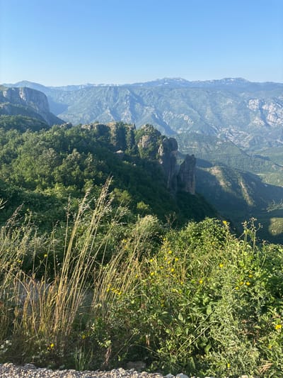 The image captures a breathtaking panoramic view of a mountainous landscape, likely taken from a high vantage point. The scene is dominated by lush green vegetation and rugged, layered mountains stretching into the distance under a clear blue sky. In the foreground, a dense thicket of green plants, interspersed with small yellow flowers and tall, dry grasses, frames the view. The grasses are particularly striking, with many slender stalks catching the sunlight.
Further into the scene, a dramatic cliff face drops away, revealing steep slopes covered in trees. Two prominent rock formations, resembling spires or pillars, emerge from the foliage, adding a sense of ancient grandeur to the landscape. The mountains in the background recede into a hazy, blueish-grey hue, indicating their immense scale and distance. The gentle slope of the terrain suggests a possibly challenging but rewarding hiking trail or viewpoint.
The lighting indicates it is daytime, with sunlight casting shadows and highlighting the textures of the plants and rocks. The clear sky suggests fair weather, ideal for outdoor exploration. The overall impression is one of serene natural beauty and a sense of awe inspired by the vastness of the mountainous terrain. There is no visible text in the image. The location context of Kućišta, Montenegro, strongly suggests this is a view within the rugged and scenic Balkan mountains.