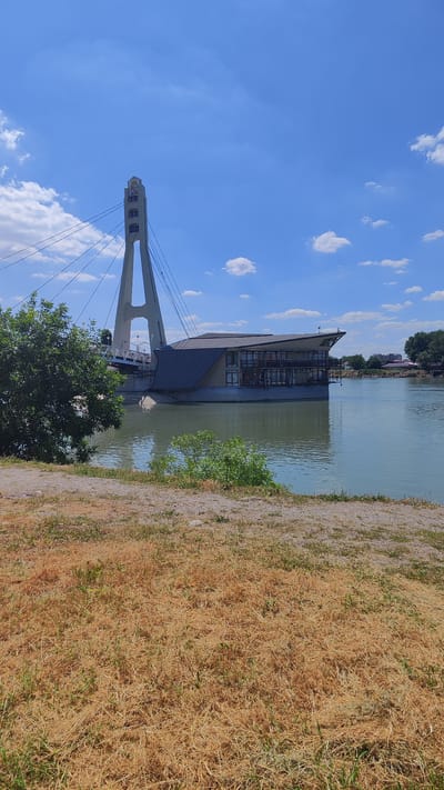 A picturesque scene unfolds under a clear blue sky dotted with fluffy white clouds. A modern cable-stayed bridge dominates the mid-ground, its single, tall white pylon featuring a crest with a crown and symbols. Cables extend from the pylon, supporting the bridge deck, which includes an architecturally interesting building with a dark, angled roof and a glass-encased facade. This building appears to be situated directly on the water or the bridge itself. To the left, lush green foliage from a tree partially obscures the view of the bridge. The foreground is covered with dry, golden-brown grass and some patches of green, indicating a dry season or a well-trodden path. The water is calm and reflects the sky and surrounding structures. In the distance, on the far bank of the river, buildings and trees can be seen, suggesting an urban or suburban setting. The overall impression is one of a sunny, pleasant day in an area with notable modern infrastructure. No people are visible in the image. The scene suggests a location in Novaya Adygeya, Russia, possibly a public space or a recreational area along a river.
