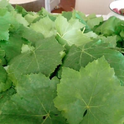 The image shows a pile of freshly picked grape leaves, commonly used in Armenian cuisine for dolma. The leaves are a vibrant green and some have serrated edges. In the background, out of focus, a white bowl containing strawberries can be seen, along with a hint of what appears to be a wooden surface. The scene likely depicts preparations for a meal, a common sight in Ashtarak, Armenia, a region renowned for its viticulture and culinary traditions.
