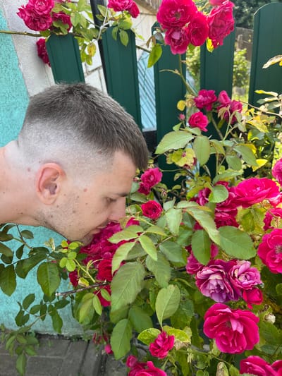 An outdoor, eye-level shot captures a man bending down to smell a cluster of vibrant pink roses. The man, viewed from the right side of his head and profile, has a fresh haircut with faded sides and dark hair on top. His face is close to the flowers, with his eyes closed or looking down. He has fair skin with a scattering of moles.

The roses, predominantly a deep pink, are in full bloom and surrounded by green leaves. Some of the roses show shades of purple and magenta, and there are also smaller buds visible. The rose bush is climbing on a dark green wooden fence.

To the left of the man and the roses is a turquoise-colored textured wall, possibly the side of a building. The background reveals more of the wooden fence and foliage, suggesting a garden or yard setting. Sunlight illuminates the scene, highlighting the textures and colors of the flowers and the man's skin.

The composition places the man and the roses as the primary subjects, with the surrounding environment providing context. The image appears to be taken in Navahrudak, Belarus, based on the provided context.