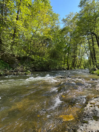 The image shows a stream or river flowing through a wooded area. The camera is positioned close to the water's edge, capturing the movement and texture of the water as it flows over rocks. Along the right side of the image, trees with green leaves line the riverbank, creating a natural canopy overhead. The sky is visible in the upper right corner, appearing blue through the leaves. The location is the city of Parvenets, Bulgaria. There are no people visible in the image.