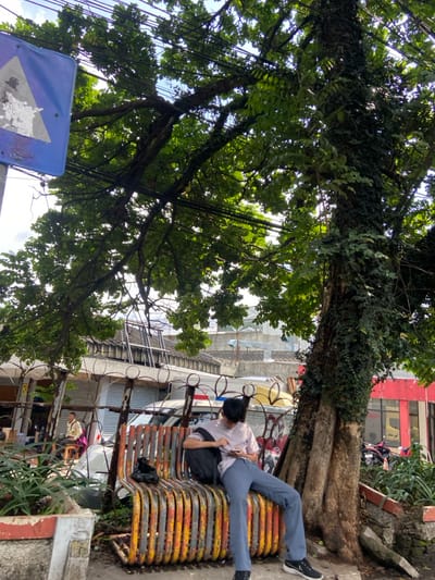 A young man wearing a white t-shirt and blue jeans is sitting on a bench looking at his phone. The bench is made of metal and has a bright orange, yellow and blue paint scheme. He is sitting under a large tree covered in ivy. The tree is located next to a building with a red awning and a glass storefront. The scene is located in Kecamatan Cimahi Selatan, Indonesia, at the coordinates -6.904 latitude and 107.565 longitude. There are power lines running overhead. The scene has a typical urban feel. The man appears to be casually relaxing.