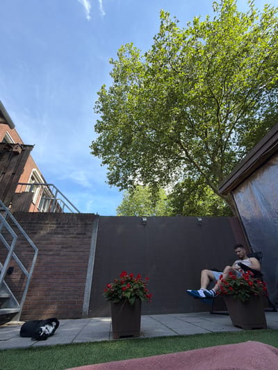 A person sits on a bench with a planter of red flowers. They are wearing a white tank top, blue shorts, and blue and white sneakers. The scene is outdoors, with a large tree providing shade. In the background, a brick building with a metal staircase is visible. A black and white cat lies on the ground next to the building. The sky is blue with a few wispy clouds. The overall impression is a relaxed, summery atmosphere. The time of day appears to be daytime, likely late afternoon or early evening due to the lighting. The location is Helmond, Netherlands. There is no visible text in the image.