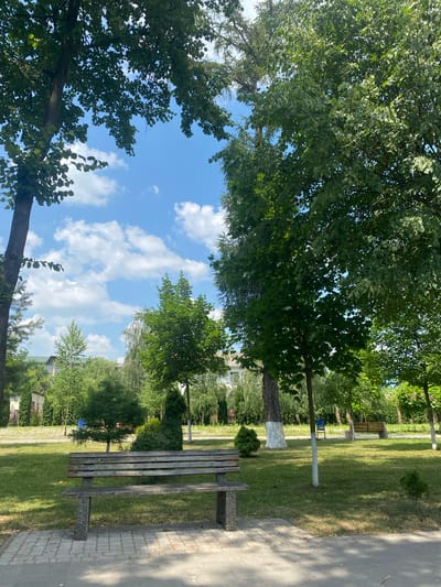 This media file depicts a park scene with a focus on lush greenery and clear blue skies dotted with white clouds. The composition is dominated by the leafy branches of large trees in the foreground and midground, framing the view of a well-maintained park. Sunlight filters through the leaves, casting dappled shadows on the manicured lawn.
Several park benches are visible, including a weathered wooden bench in the foreground and another in the midground. A paved walkway runs along the right side of the image, bordered by a brick-like pattern. In the distance, more trees and some buildings can be seen, suggesting an urban or suburban park setting. A single, thin lamppost is also present in the grassy area.
The time of day appears to be daytime, likely late morning or early afternoon, given the bright sunlight and the position of the shadows. The weather is clear and pleasant, indicated by the bright blue sky and fluffy white clouds. There is no visible text in the image. The overall impression is one of a tranquil and inviting outdoor space, perfect for relaxation. The location context of Zastavna, Ukraine, places this scene in a specific geographical area.