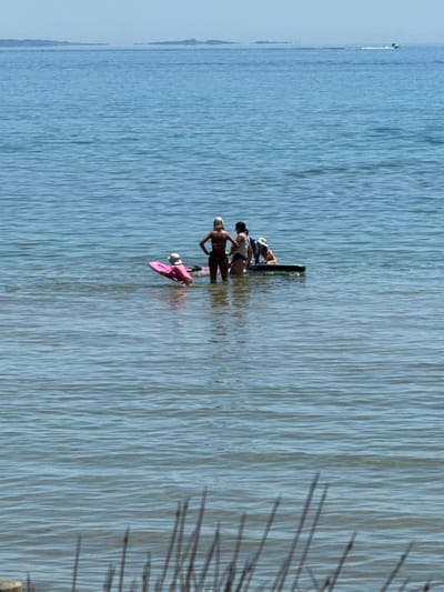 The image shows a group of people engaged in water activities on a bright, sunny day, likely in Frankston, Australia. The scene is set in a calm, blue waterbody, possibly a bay, with a distant landmass visible on the horizon.

In the mid-ground, at least four individuals are standing or interacting in the shallow water. One person, wearing a dark-colored swimsuit, is standing with their back to the viewer. Adjacent to them, another individual in a lighter-colored top is bent over, seemingly attending to a black paddleboard or similar watercraft that is partially submerged. A third person is mostly obscured behind this black board. Further to the right, a fourth person, wearing a light top and a hat, is seen near a bright pink swim float or small paddleboard, which also has fins. The people appear to be either preparing for, or taking a break from, paddleboarding or swimming.

The water is calm with subtle ripples reflecting the bright daylight. Long, dark shadows of what appear to be reeds or tall grass extend across the water from the right side of the frame, suggesting the shore is nearby. The overall atmosphere is recreational and peaceful. No text is visible in the image.