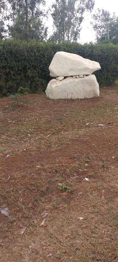 The scene depicts an outdoor, unpaved area in South Sakwa ward, Kenya, under an overcast sky. In the midground, two large, irregularly shaped, light gray or off-white rocks are stacked. The larger, broader bottom rock supports a smaller, elongated top rock. Several smaller stones are placed horizontally between the two main rocks, providing separation and support. The ground is composed of reddish-brown earth with sparse, dry patches of light green and brown vegetation, including a small green plant sprout to the left of the rock formation. Scattered leaves, small twigs, and minimal light-colored debris are visible on the ground. The background features a dense, dark green hedge running horizontally, behind which stand numerous tall trees with green foliage and slender trunks. No individuals, animals, or apparent actions are visible.