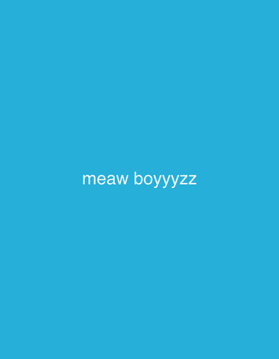 The image displays a plain, solid blue background. Centered horizontally and vertically on this monochromatic field is white text that reads "meaw boyyyzz". The font is sans-serif and appears to be a standard digital typeface. There are no other subjects, objects, or discernible elements within the image. No activity or event is taking place, as it is a static graphic. There are no visual cues regarding time of day, weather, or a specific physical location. The overall aesthetic is minimalist and digital, with the text being the sole focus. The capitalization is entirely lowercase, and the words "meaw" and "boyyyzz" feature repeated letters, suggesting an informal or stylized form of communication.