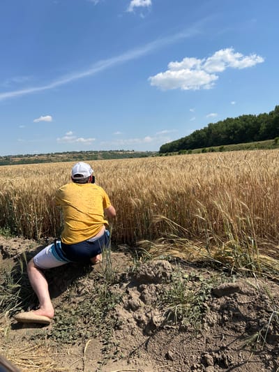 A person wearing a yellow shirt, blue and white striped shorts, and a white cap is crouching in a dirt path next to a field of wheat. The person is holding a smartphone and appears to be taking a photo or video of the wheat field. The field of wheat is golden brown and extends into the background, where a line of trees forms a horizon against a blue sky with scattered white clouds. The scene appears to be in a rural area, likely in Indiya, Moldova, given the typical landscape and agricultural fields found in the region.