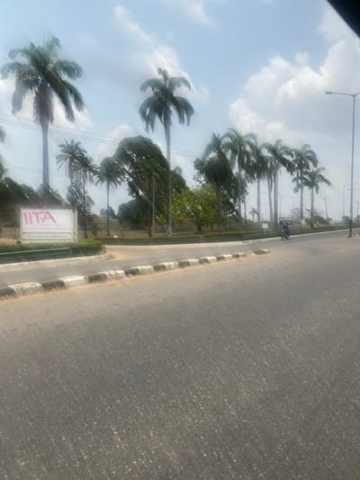 The image depicts an outdoor daytime scene at the entrance to the International Institute of Tropical Agriculture (IITA) in Odo Ona, Ibadan, Oyo State, Nigeria. The foreground shows a grey asphalt road with a segmented black and white painted curb on the left, delineating a median or roadside area. On the left side, beyond the curb, a white rectangular sign bearing the red "IITA" logo and black text "International Institute of Tropical Agriculture" and "IITA Ibadan and Headquarters" is prominently displayed.
Behind the sign and extending into the middle ground and background is lush tropical vegetation, dominated by numerous tall palm trees with green fronds. Other green trees and shrubs are also visible. The sky above is bright with scattered white clouds.
On the right side of the road, in the middle ground, a lone individual wearing a blue garment is operating a blue motorcycle, moving away from the viewer. Tall, grey streetlight poles are visible on the far right, suggesting a maintained public road. The overall environment indicates a well-established institutional area.