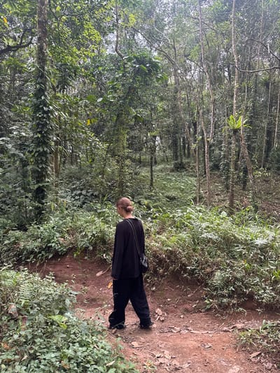 The image depicts a person walking on a dirt path through a lush, dense forest. The person, seen from the back, is wearing a black long-sleeved shirt and black pants. Their hair is pulled back in a bun. They have a small black bag slung across their shoulder. The forest is characterized by tall trees with vines climbing their trunks, and a thick undergrowth of various plants, including ferns. The path is reddish-brown dirt, with some scattered leaves. The lighting suggests an overcast day, creating a diffused light throughout the scene. The location is the jungle of Jurit Baru, Indonesia, a place known for its vibrant biodiversity and dense tropical rainforests.