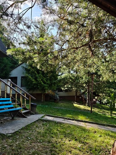 The image depicts a serene outdoor scene, likely in the city of Sosny, Ukraine. In the foreground, a bright blue park bench is positioned on a concrete walkway adjacent to a wooden staircase with yellow railings. The bench faces a lawn dotted with pine cones and green grass. Beyond the bench, a light-colored building with dark-framed windows is partially visible, nestled among mature pine trees. A traditional lamppost stands to the right of the building. The environment suggests a tranquil, possibly recreational area, with abundant natural foliage. The lighting indicates it is daytime, with sunlight filtering through the pine branches. No people are visible in the image.
