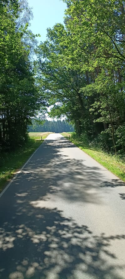 The image depicts a paved road winding through a sun-dappled forest. Lush green trees with dense foliage line the left side of the road, casting dappled shadows on the asphalt. The sun is high in the sky, suggesting midday, and the weather appears to be clear and bright, indicated by the strong contrast between light and shadow. The road itself is gray and appears well-maintained, with a white line marking its edge on the left. To the right of the road, a grassy verge is visible, bordered by more trees and a glimpse of a sunlit field or meadow beyond. The perspective is from a low angle, looking down the road as it curves away into the distance, creating a sense of depth and perspective. The scene evokes a peaceful, natural environment, likely a rural or park-like setting. No people or specific objects are prominently featured, emphasizing the natural landscape and the solitary road. There is no visible text in the image. The location context of Vilseck, Germany, suggests a European setting with temperate forest vegetation.