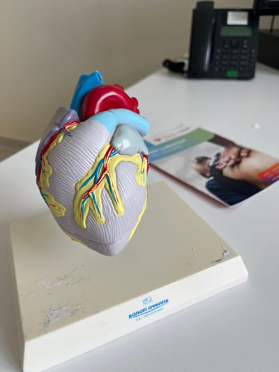 An anatomical model of a human heart is centrally positioned on a white desk surface in Dumbéa, France. The model is detailed with a grey/light purple heart muscle, yellow coronary arteries, blue veins, a red aorta, and light blue pulmonary vessels. It is mounted on an off-white rectangular base that exhibits scuff marks and wear. The base bears the "sanofi aventis" logo and partial text, "L'im...c'est la santé," printed in blue. In the blurred background, a black desk phone with a green display screen is visible to the upper right. To the right of the heart model, a partially visible brochure features an image of a man holding his lower back and includes text such as "MANAGEMENT."