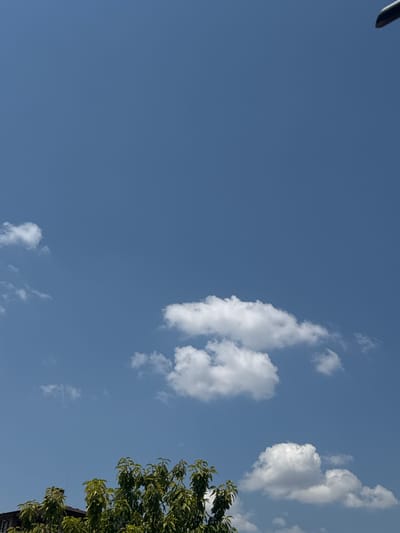 The media file captures a clear blue sky with scattered white cumulus clouds. The image is oriented vertically, with the top of the frame showing a dark, curved object, possibly the edge of a pole or a similar structure. In the lower right portion of the frame, the upper branches of a lush green tree are visible, with dark roof tiles of a building peeking out from behind the foliage.

The presence of cumulus clouds suggests fair weather. The bright sky indicates it is daytime, likely mid-morning or afternoon. The vibrant green of the tree leaves suggests a season of growth, possibly spring or summer. The location context is provided as Branipole, Bulgaria. No people or specific activities are depicted. The overall mood of the image is serene and natural, focusing on the sky and the upper canopy of a tree. There is no visible text in the image.