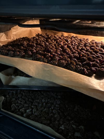 The image shows a close-up, overhead view of a baking tray filled with dark, small, berry-like objects, likely blackberries or similar fruit. The tray is lined with parchment paper, and a portion of the paper is visible, folded and creased, running diagonally across the berries. The berries appear moist and glossy, with some having a reddish hue. The baking tray is dark, possibly black or dark gray, and is placed inside a larger dark appliance, which could be an oven. The lighting is dim, suggesting the photograph was taken in a low-light environment, possibly inside the oven itself or in a dimly lit kitchen. The overall impression is of food being prepared or baked. The location context of Ulan-Ude, Russia, does not offer specific visual cues within the image itself. There is no visible text in the image.