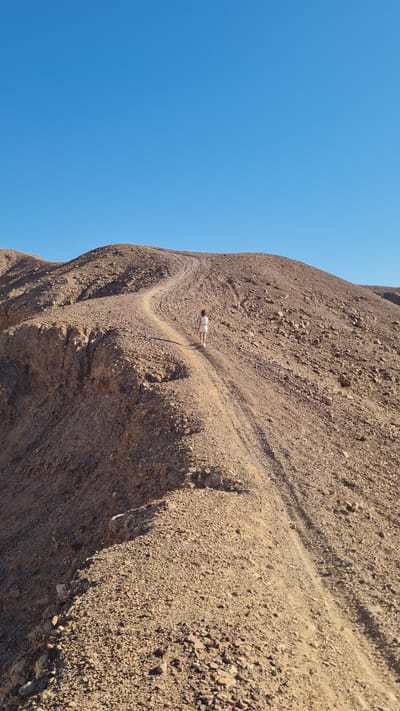 The original image, which is rotated 90 degrees counter-clockwise, depicts a vast and arid desert landscape under a clear, bright blue sky. A lone individual is walking along a narrow, winding dirt path that traverses a large, reddish-brown rocky hillside or mountain. The terrain is composed of gravel and small stones, characteristic of a desert environment such as Eilat, Israel. The path snakes upwards or around the slope, with the person positioned approximately midway along the visible section of the trail. The individual is dressed in light-colored clothing, suitable for warm weather, and appears small in scale against the imposing natural formation, emphasizing the immensity of the landscape. The bright, even illumination suggests it is daytime. The sky is cloudless, indicating fair and dry weather. The scene conveys a sense of solitude and adventure. There is no visible text in the image.
