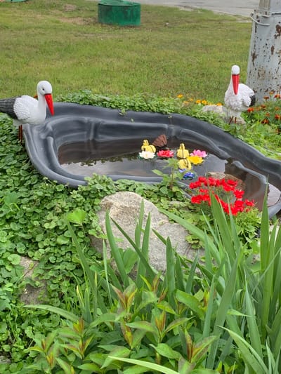 The image depicts an outdoor scene with a small, black, pond-like water feature. Two white stork figurines with red beaks are positioned on the edge of the pond, one on the left and one on the right. The pond contains several floating artificial water lilies in various colors, including yellow, pink, and red, as well as one brown object. Red flowers are blooming in front of a large rock in the pond. The area around the pond is covered in lush green ground cover and taller green plants in the foreground. In the background, a patch of green grass is visible, with a large, dark green, cylindrical object in the upper left corner, and a rusted, grey, cylindrical structure on the right. The overall setting appears to be a garden or yard in a residential or public area. The image is taken from a slightly elevated angle, looking down into the pond and surrounding vegetation. There are no people visible in the image. The location is identified as the city of Gubkinsky, Russia.
