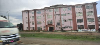 A four-story pink building with brown vertical accents is the focal point, appearing to be a commercial structure. The building has numerous windows, and an arched entrance is visible. Power lines and a utility pole are on the left. A white van with red lettering partially obstructs the view on the left. A large billboard is situated to the right of the building. A person walks on the sidewalk in front of the billboard. The foreground consists of green grass.