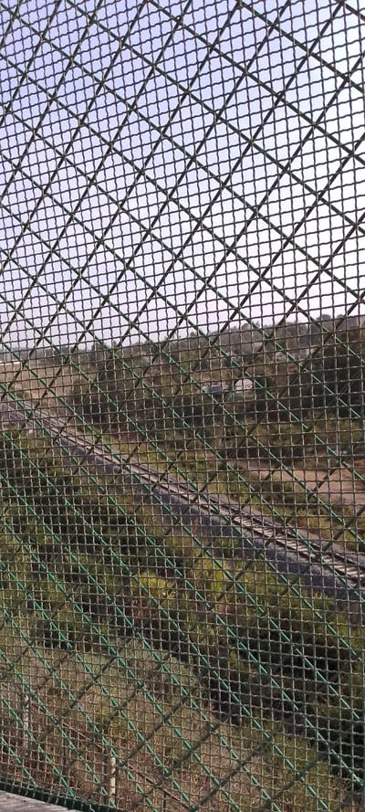 The image captures an outdoor scene, primarily featuring a prominent green mesh fence in the foreground. The fence covers almost the entire frame, creating a diamond-shaped grid pattern due to its diagonal orientation. The mesh appears to be made of metal wire, possibly chain-link, coated in a dark green or olive color.

Behind the sharp focus of the fence, the background is soft and out of focus, indicating a shallow depth of field with the fence as the focal point. This blurry landscape reveals rolling terrain, likely hills or a valley, covered with sparse and mixed vegetation, appearing in shades of green and brown, suggesting either dry conditions or autumn.

Winding through the mid-ground of the landscape is a distinct path or unpaved road, its light color contrasting with the surrounding vegetation. There are no clear indications of structures or people in the distant background. The sky is visible at the top of the image, a pale blue or overcast white, suggesting it is daytime. The overall impression is that of a view from behind a protective barrier or enclosure, looking out over a natural or semi-natural environment. No specific activities or visible text are present in the image.