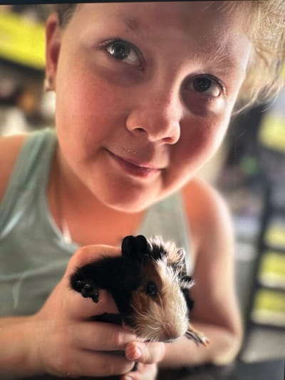 A young person, likely a child or pre-teen with light-colored hair and fair skin, is depicted holding a small pet. The person's face is prominent in the foreground, with their head tilted. They are looking directly at the camera with an open gaze and a hint of a smile. They are wearing a light-colored top, possibly light blue or green.
The pet held in their hands is a guinea pig, which has a distinctive coat of black, white, and brown fur. The guinea pig is positioned with its head facing towards the camera, nestled gently in the person's hands. Its fur appears somewhat spiky, particularly on its head, and its small nose and eyes are visible.
The background is out of focus, showing blurred areas of light and shadow, suggesting an indoor setting with bright, diffused lighting. The overall impression is one of a tender interaction between the child and their pet. No text is visible in the image. The provided location context for this media file is Веревское, Russia.