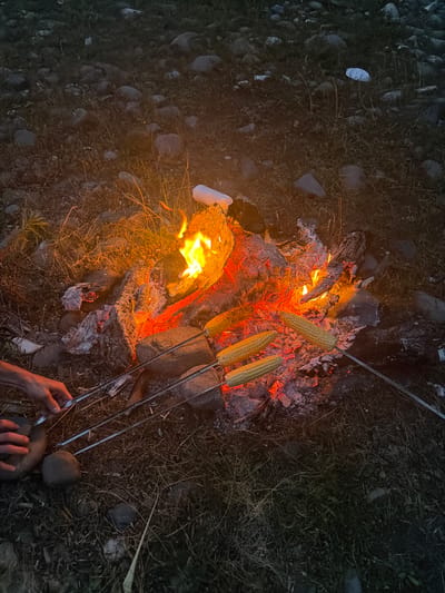 The media file captures an overhead view of a campfire scene at dusk, likely in Wazabaa, Abkhazia. Three ears of corn are skewered on metal rods and being roasted over the glowing embers of a campfire. The fire is contained within a ring of rocks, with logs and ash visible. The surrounding ground is covered in dry grass, twigs, and scattered pebbles. The lighting suggests it is evening, with the warm glow of the fire illuminating the immediate area, while the background fades into shadow. The overall mood is rustic and relaxed, hinting at an outdoor gathering or a casual meal cooked over an open flame. A pair of hands is visible in the lower right corner, holding one of the skewers, suggesting someone is actively tending to the corn. The absence of clear text or specific landmarks makes it difficult to pinpoint the exact location beyond the general context provided, but the natural, untamed ground cover and visible stones are consistent with a rural or wilderness setting.