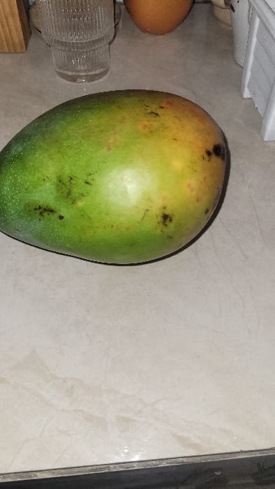 The image displays a single, oval-shaped mango positioned on a light-colored, possibly marble or granite, countertop. The mango exhibits a color gradient from predominantly green on its left side to yellow and orange hues on its right side. Multiple small, dark brown or black blemishes are visible on its skin. In the upper left background, a clear, vertically ribbed glass is present. To the upper right, a portion of a rounded, brown object, consistent with ceramic or pottery, is visible, alongside a partial view of a white plastic item on the far right edge. The countertop surface is light beige or off-white with subtle veining patterns. Small droplets of liquid are visible on the counter near the bottom edge. The scene is located within the city of Nanyuki, Kenya. No people are visible, and no active interactions are depicted; all objects are stationary.