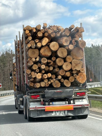 A truck loaded with logs is on the road, the logs appear to be birch trees. The location is determined via license plate number to be Latvia, Spilve. The truck has multiple tail lights, reflectors, and signage indicating that the truck is hauling a wide load. The road is asphalt and trees are visible in the background. The sky is cloudy.