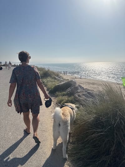 The image depicts a sunny day at the beach in Wissant, France. A person, viewed from behind and from the side, is walking along a paved path. They are wearing a short, patterned dress and flip-flops. The person is holding a black retractable dog leash, and a large dog with light-colored fur is walking ahead of them. The dog is wearing a harness.

The path borders a sandy dune area with tall, dry grass. Beyond the dunes, the sandy beach stretches to the ocean. The water is a brilliant blue and sparkles with sunlight, indicating a bright, clear day. The sea is calm, with small waves rolling towards the shore. Wooden posts are visible in the water, likely part of a jetty or breakwater. In the distance, there are a few other people on the beach. The sky is a pale, clear blue, with no clouds visible. The lighting suggests it is mid-morning or early afternoon. The overall mood is peaceful and relaxed, with the person and their dog enjoying a walk by the sea.