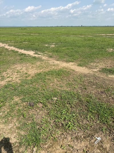 This is a landscape photograph taken outdoors in Lamurde, Nigeria. The image is oriented vertically. The scene depicts a large, open field with sparse green vegetation and patches of dry, sandy earth. A well-worn path or track runs diagonally across the field. In the background, the field stretches to the horizon, meeting a pale blue sky dotted with white, fluffy clouds. A faint line of trees or a distant structure can be seen along the horizon. The lighting suggests it is daytime, possibly late morning or early afternoon, with the sun casting shadows. The overall impression is one of a rural, possibly agricultural, landscape under a clear sky. There is no visible text in the image.