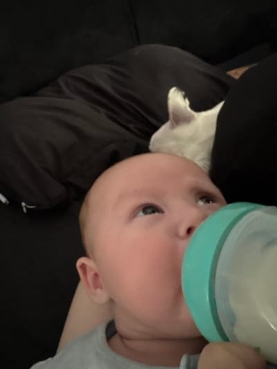 A baby is being bottle-fed. A white dog is present next to the baby. The setting appears to be indoors, likely on a couch. No specific evidence indicates the location is Carlisle, United Kingdom.