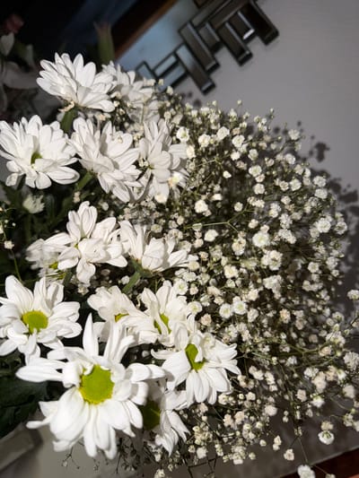 This media file features a close-up, overhead view of a bouquet of white flowers, predominantly daisies with bright green centers, interspersed with delicate white baby's breath. The flowers are arranged densely, creating a full and textured composition. The lighting suggests an indoor setting, possibly evening or a dimly lit room, as evidenced by the shadows cast on the plain, light-colored wall behind the bouquet. To the left of the frame, a blurred section of dark, reflective geometric decor or furniture is visible, providing a contrasting element to the organic forms of the flowers. The overall mood is serene and natural, emphasizing the beauty and simplicity of the floral arrangement. There is no visible text or indication of a specific event. The location context of Saint-Maurice, Switzerland, does not offer specific visual cues within the image itself.