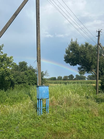 A full shot shows a post-apocalyptic, rural landscape. A double rainbow arches across a cloudy sky, with a cornfield in the middle ground and lush green vegetation filling the foreground. A blue electrical box stands next to a concrete pole, and power lines stretch across the frame. The scene appears to be located in Terny, Ukraine.